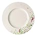 Rosenthal Brillance Fleurs Sauvages Assiette en Porcelaine avec Aile Multicolore 28 cm