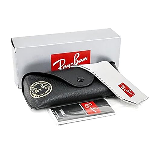 Ray-Ban RB3447N Rounded Sunglasses for Men +BUNDLE with ACCESSORY EYEWEAR KIT4