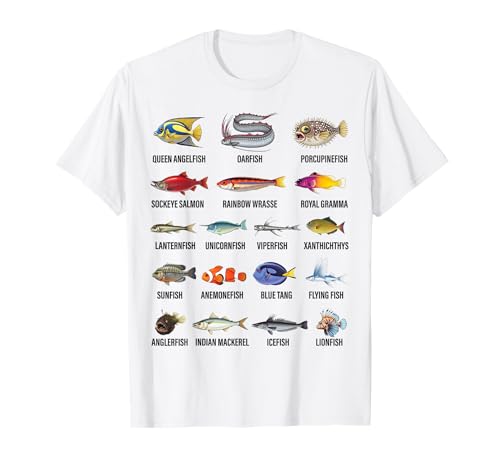 Acuarios Pequeños para Peces Marca Educational Science Ideas