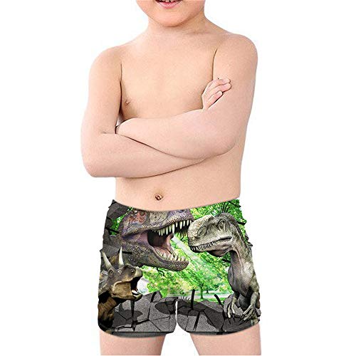 Coloranimal Teen Boy Cool Animal T-Rex Dinosaurier Badehose Batjing Anzug Beach Board Shorts Swinwear Quick Dry 5-14Y Gr. 11-12 Jahre, Dinosaurier 03