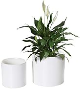 Amazon.com : Nihow Flower Pot - 5 & 7 Inch Ceramic Planter Pots