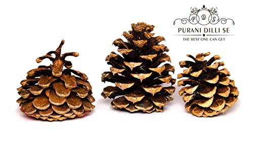 Image of Purani Dilli Se Chilgoza Giri 250g | Premium AAAAA Grade Pine Nuts Kernels & Pine Seeds | Exotic PIne Nut Dry Fruits Rich in Protein, Healthy Fats & Nutrients | Ready to Eat Chilgoza for Snacking, Cooking & Gifting