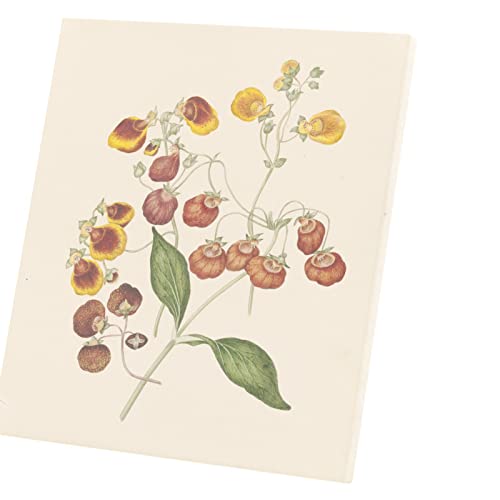 Toile imprimée fleurs exotiques de haute précision pour salon lumineux