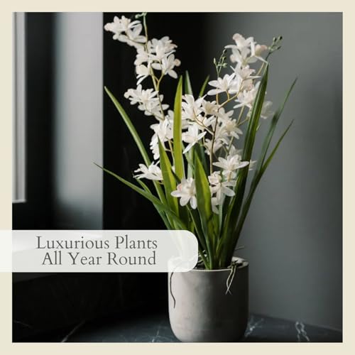 Image of CG Hunter Faux Vanda Orchid Plant, Premium Artificial Indoor Flower Display Stands 22.5 inch, Beautiful Sculptural Blooms that Lasts Forever, White Planter Pot Included