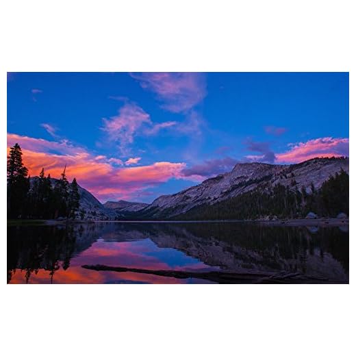 Rokinon 12mm f/2.0 Wide-Angle Lens