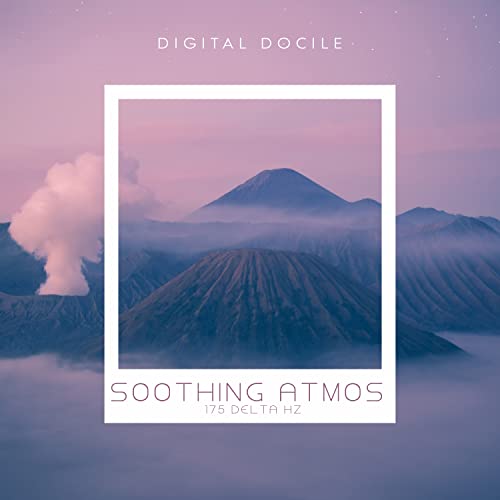 Digital - Docile