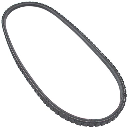 Courroie trapézoïdale 106,7 cm Allstar ALL86124 pour moteur