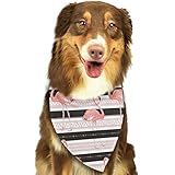 Tela: tela de malla y material muy seguro y se puede utilizar para mascotas.