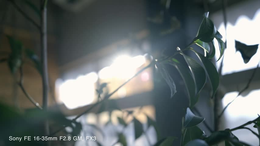 Amazon.co.jp: SONY(ソニー) 【レンズ と 純正プロテクター セット