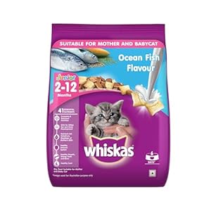 Whiskas Junior Mother Cat & Kitten (2-12 Months) Dry Cat Food, Ocean Fish Flavour, 450 g, Contains 41 Essential Nutrients, Complete & Balanced Nutrition for Mother Cats & Kittens