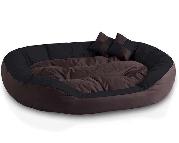 Gorgeous Latest Unique Beds,Sofa Style Velvet Round Bed for Dog and Cat (Red,Black)-Small (S, Brown-Black) (B0BD253FFS) Amazon Price History, Amazon Price Tracker