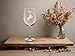 C M Horse with Barbwire Rustic Design Wine Glass - Western Horse Themed Gift for Men and Women - 19 oz