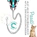SAFE 'N CLEAN Tierhaarbürste Staubsauger Aufsatz Hundebürste Katzenbürste Fellpflege Set 3-in-1 kompatibel mit Dyson Miele Siemens Rowenta AEG Kärcher inkl. Adapter für alle Staubsauger Ø 32mm 35mm