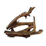 Maße 51x25x42 Nr.1212 XL Mangrovenwurzel Nr.1212 Aquarium Wurzel Mangrove Holz Deko Aquascaping Dekoration Landschaft Moos Natur Echtholz