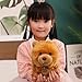Imagen de peluche Chow Chow Marrón