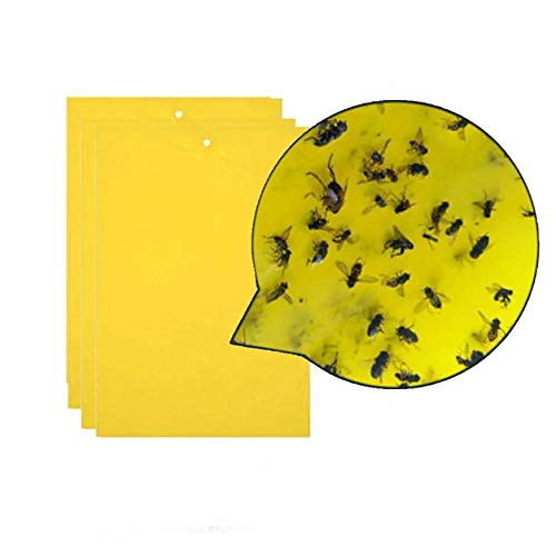 10Pcs Strong Flies Traps Bugs Sticky Board Catching Aphid Insects Pest Killer Outdoor Fly Trap for Aphids Fungus GnatsLeaf (B07SSPRQBJ) Amazon Price History, Amazon Price Tracker