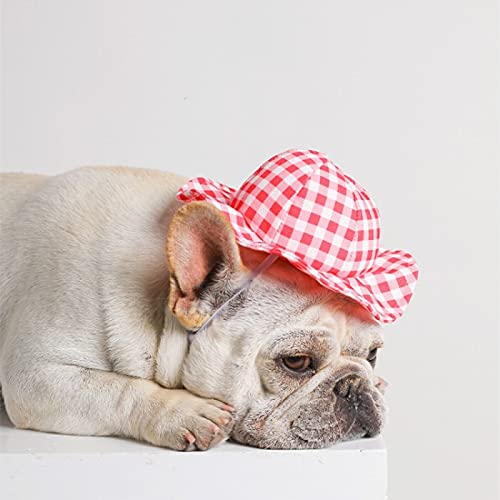 Amazon | 【24HOURS】ペット帽子 犬 猫用 かわいい フレンチ