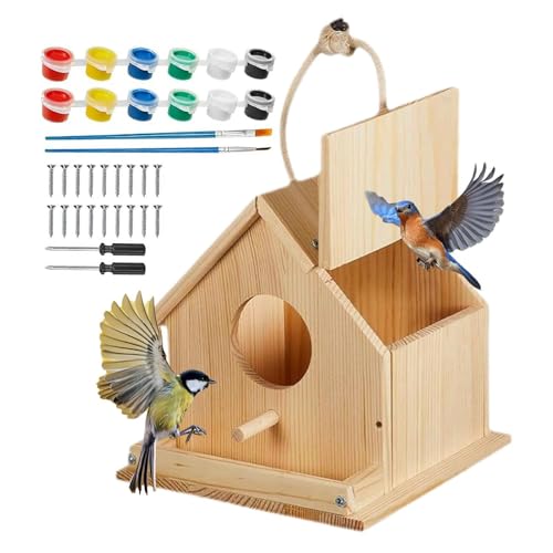 Kit de nichoir à oiseaux bois pour occuper les enfants intelligemment