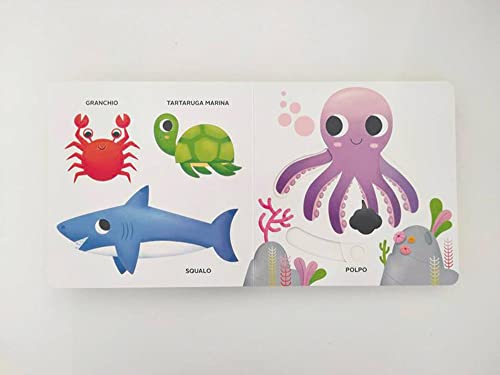 Il Mare. Muovi E Scopri. Ediz. A Colori - 5