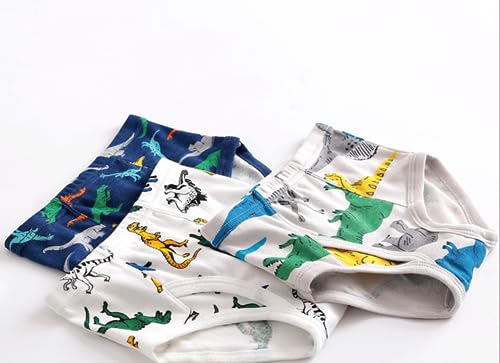 Boys' Dinosaur Briefs Assorted Underwear 6-Pack for 2-10 Years2