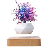 4. Regalo perfecto, para la decoración de su hogar u oficina. Esa gente de todas las edades amará. No solo es beneficioso mejorar el medio ambiente interior, sino que también es el mejor regulador de la salud física y mental.