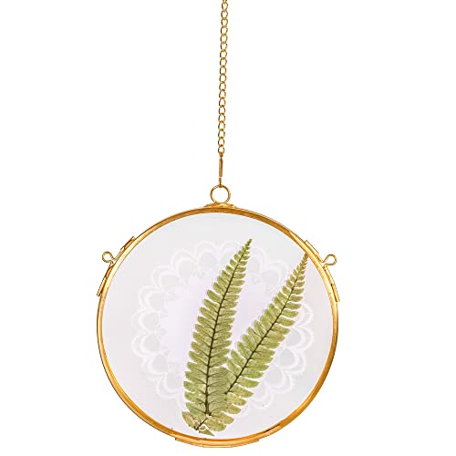 Ncyp 5Inches Small Round Wall Hanging Glass Frame For Pressed Dried Flowers, Pictures Photos, Double Glass Herbarium, Brass Floating Frame (Glass Frame Only) #TOP21