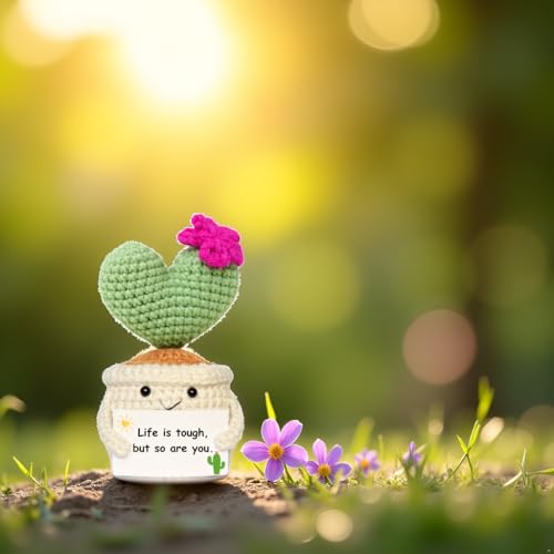 Get Well Gifts for Women, Handmade Crochet Cactus Plant - Image 4