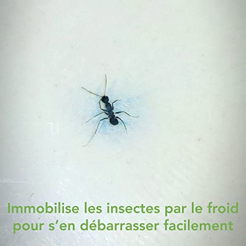 Raid essentials aérosol freeze action insectes rampants 350ml - vue 6