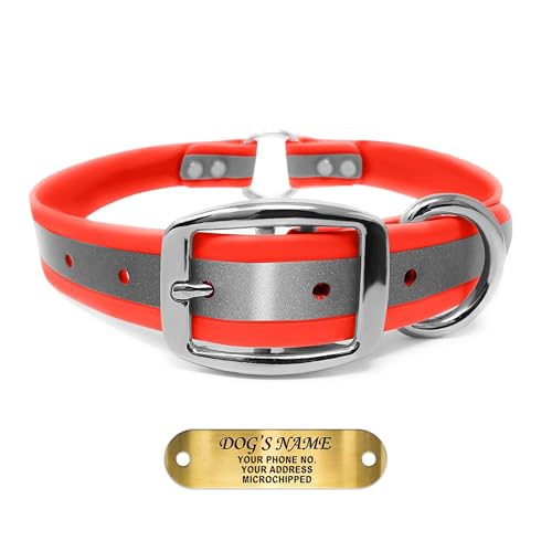 Regal Dog Large Orange Reflective Collar with Engraved Plate