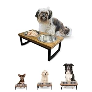 Elevated Dog Bowls, Small 4 inches Height Mango Wood Raised Dogs Bowl Stand with Two 16oz Stainless Steel Pet Dishes | Food & Water 2Cup/0.47L Capacity Nonslip Cats Feeding Station