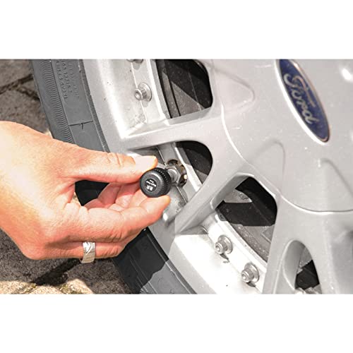 ELV TM-516+SN - Sistema di controllo della