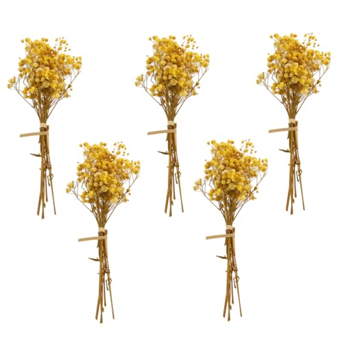 5 piezas ramo de flores secas Babysbreath para hogar y boda miniatura 1
