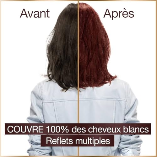 Garnier Coloration Permanente Good 6.52 Châtain Acajou Groseille - vue 3