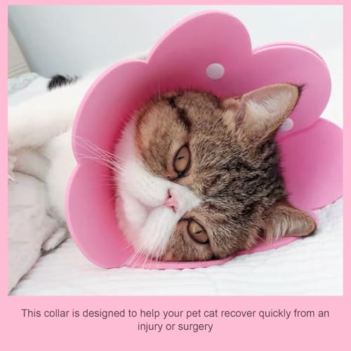 Image of Cat Recovery Collar, Cat Recovery Collar Protective Cone Licking Neck Cone Kitten Pet Eva -Scratch
