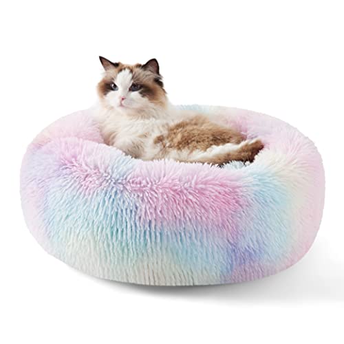 Image of Bedsure Calming Cat Beds Donut Round Washable Kitten Bed,20 inches Multi Color