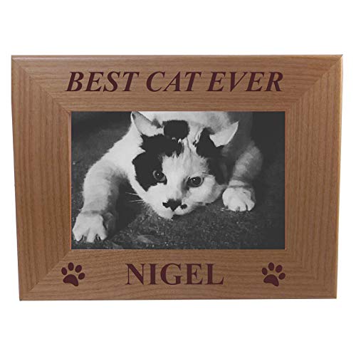 10 Best Cat Ever Frame