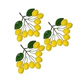 CHICAMPERA PRQG044217UBQ0K