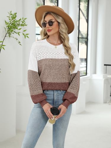 Image of Lylinan Womens Sweaters Casual Boho Long Sleeve Shirts Crewneck Lightweight Crochet Tops Pullover Knit Sweater