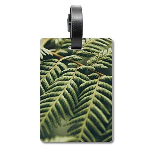 Étiquette valise motif feuilles porte-adresse sac voyage et bagage cabine