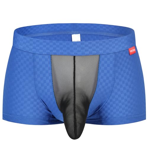 Sexy Underwear for Men Breathable Mesh See Through Boxer Briefs Elephant Nose Pouch Panties2