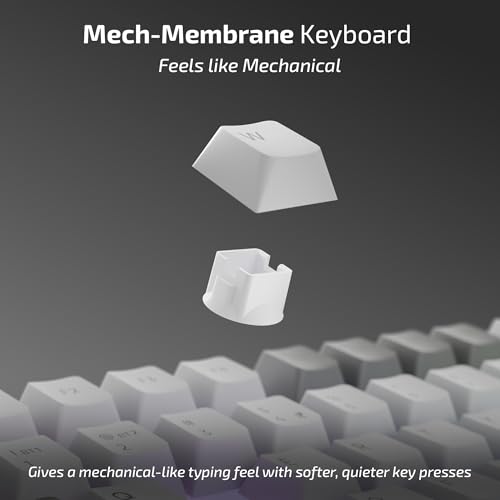 Image of iBall QWERTY S500 Wireless Keyboard, Mech Membrane Keys, 99-Key Layout, Dual BT + 2.4GHz + Wired, RGB Backlit, Smart Display, Anti-Ghosting, Compatible with MacOS, Win, iOS & Android (Cement Grey)