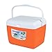 Produktbild Gaeruite Kühlbox , Isolierbox Kühl Box zum warmhalten oder kühlen , Mini-Kühlschrank | für Auto und Camping (Orange)