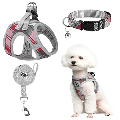 Top 10 Best Puppy No Pull Harness Reviews & Buying Guide Katynel