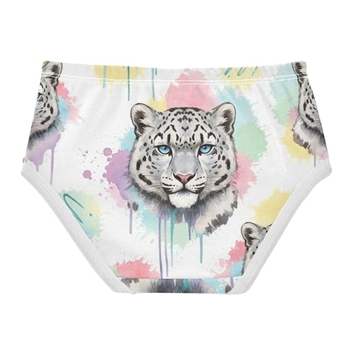 Colorful Snow Leopards Rainbow Toddlers Underwear Floral 2t Cotton Cute Panties Girl Stylish Kids Briefs Undies2