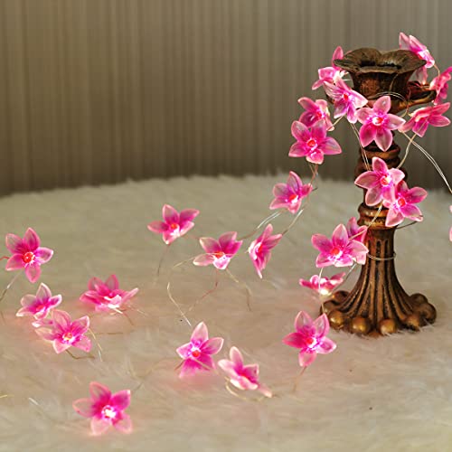 Onemore Led Fairy String Lights, 10Ft 30 Leds Battery Operated String Lights For Kids Girls Bedroom, Christmas, Spring, Nursery, Wedding, Indoor Outdoor Decoration (3Aa-Flower-2) #TOP4