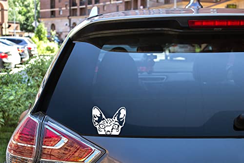 Image of WIRESTER 6 inch Clear Vinyl Decal Sticker Decoration for Car Window (Or Any Flat Surface) - Wrinkled Skin Sphynx