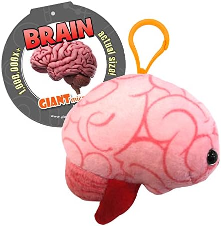 organ plushies amazon