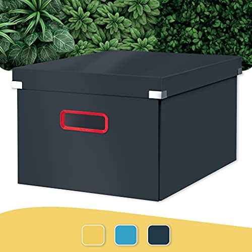 Leitz-Click-Store-WOW-Scatola-Archivio-Media-per-Riporre-e-Trasportare-Documenti-A4-e-Oggetti-di-Medie-Dimensioni-Adatta-a-Casa-e-Ufficio-Grigio-Velluto-53480089