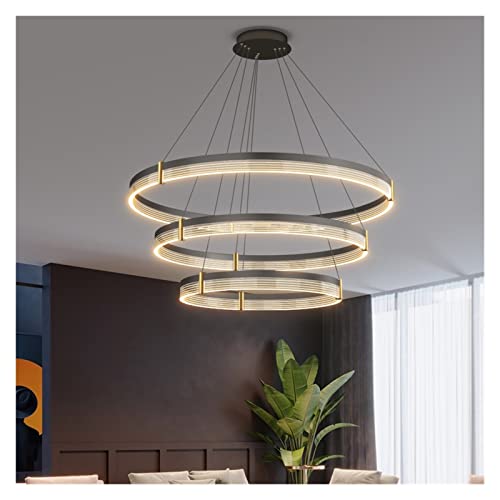 y_gCg, ݂艺vANX^VfAkrO[y_gCgOQv_fUCi[Ƃ̑Vvȃ_CjO[T[NVfA (Color : Dimmable, Size A3 Layer)(