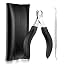 Curved Blade